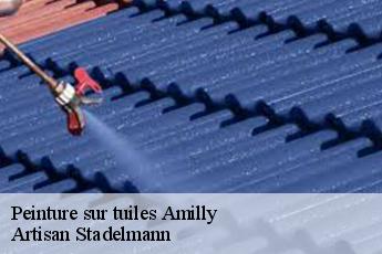 Peinture sur tuiles  amilly-28300 Artisan Stadelmann