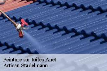 Peinture sur tuiles  anet-28260 Artisan Stadelmann