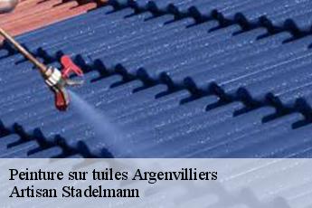 Peinture sur tuiles  argenvilliers-28420 Artisan Stadelmann