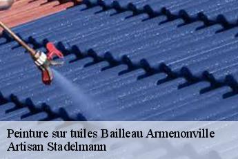 Peinture sur tuiles  bailleau-armenonville-28320 Artisan Stadelmann