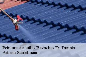 Peinture sur tuiles  bazoches-en-dunois-28140 Artisan Stadelmann