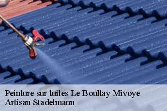 Peinture sur tuiles  le-boullay-mivoye-28210 Artisan Stadelmann