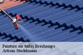 Peinture sur tuiles  brechamps-28210 Artisan Stadelmann