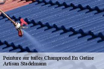 Peinture sur tuiles  champrond-en-gatine-28240 Artisan Stadelmann