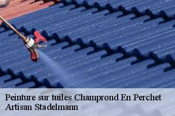 Peinture sur tuiles  champrond-en-perchet-28400 Artisan Stadelmann