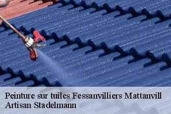 Peinture sur tuiles  fessanvilliers-mattanvill-28270 Artisan Stadelmann