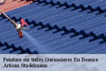 Peinture sur tuiles  garancieres-en-beauce-28700 Artisan Stadelmann