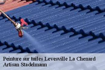 Peinture sur tuiles  levesville-la-chenard-28310 Artisan Stadelmann