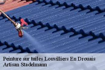 Peinture sur tuiles  louvilliers-en-drouais-28500 Artisan Stadelmann