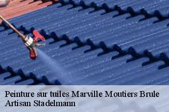 Peinture sur tuiles  marville-moutiers-brule-28500 Artisan Stadelmann