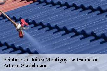 Peinture sur tuiles  montigny-le-gannelon-28220 Artisan Stadelmann