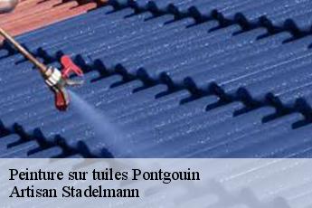 Peinture sur tuiles  pontgouin-28190 Artisan Stadelmann