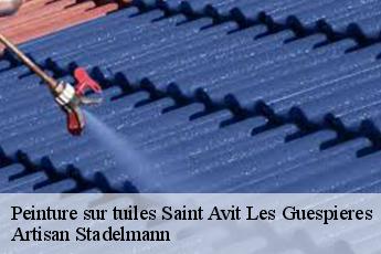 Peinture sur tuiles  saint-avit-les-guespieres-28120 Artisan Stadelmann