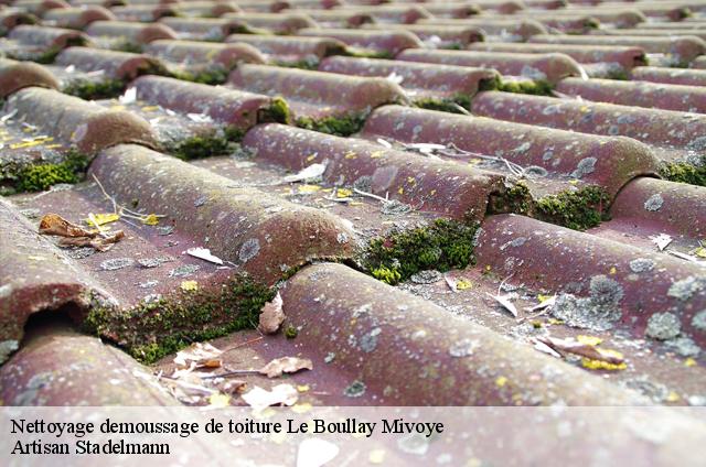 Nettoyage demoussage de toiture  le-boullay-mivoye-28210 Artisan Stadelmann